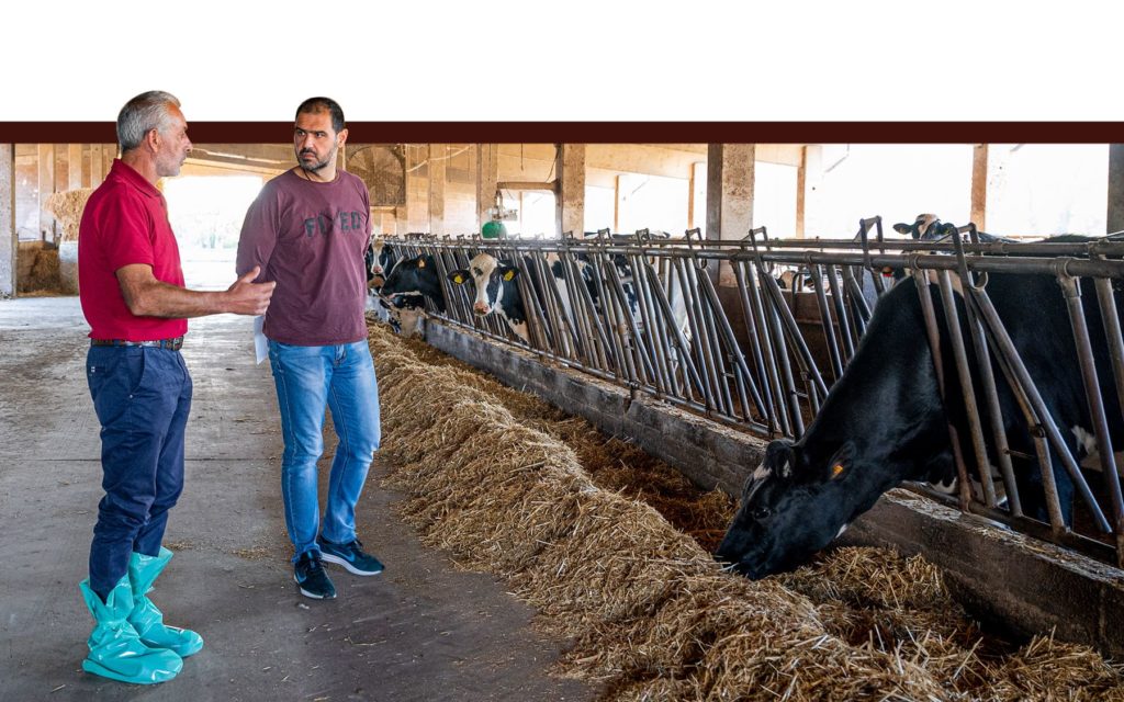Tecnici valutazione bovine in stalla La Nuova ACB