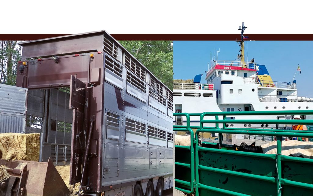 Camion e nave per trasporto animali vivi La Nuova ACB