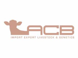 LaNuovaACB_Clienti_Partner_LogoProva_3
